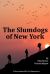 The Slumdogs of New York: a Novel