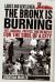 Ladies and Gentlemen, the Bronx Is Burning : 1977, Baseball, Politics, and the Battle for the Soul of a City