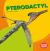 Pterodactyl