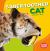 Saber-Toothed Cat