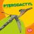 Pterodactyl Pterodactyl