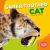 Saber-Toothed Cat Saber-Toothed Cat