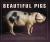 Beautiful Pigs : Potraits of Champion Breeds Beautiful Pigs : Potraits of Champion Breeds