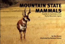 Mountain State Mammals : A Guide to Mammals of the Rocky Mountain Region