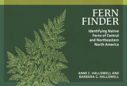 Fern Finder : Identifying Native Ferns of Central and Northeastern North America