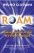 Roam : Making Sense of the Wireless Internet