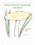 Special Designs of Mushrooms and Molds : A Coloring Book