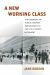A New Working Class : The Legacies of Public-Sector Employment in the Civil Rights Movement