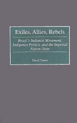 Exiles, Allies, Rebels: Brazil's Indianist Movement, Indigenist Politics, and the Imperial Nation-State