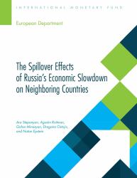 The Spillover Effects of Russia's Economic Slowdown on Neighboring Countries