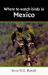 Where to Watch Birds in Mexico