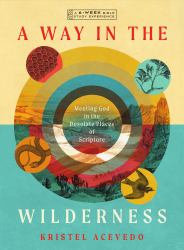 A Way in the Wilderness : Meeting God in the Desolate Places of Scripture--A 6-Week Bible Study with Video Access