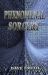 Phenomenal Sorcery : A System of Informational Magic for Real and Virtual Worlds
