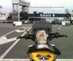 When Bunny (with the Big Belly ) Went to France