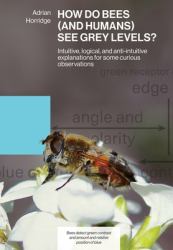How Do Bees (and Humans) See Grey Levels? : Intuitive, Logical, and Anti-Intuitive Explanations for Some Curious Observations