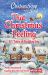Chicken Soup for the Soul: That Christmas Feeling : 101 Tales of Holiday Joy