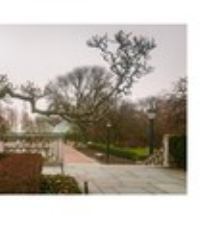 What Is Your Words upon My Picture?