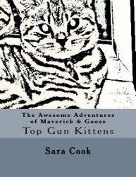 The Awesome Adventures of Maverick and Goose : Top Gun Kittens