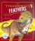 The Tyrannosaur's Feathers