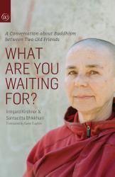 What Are You Waiting For?&nbsp; : A Conversation about Buddhism Between Two Old Friends&nbsp;