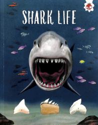 Shark Life