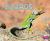 Lizards Lizards