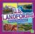 U. S. Landforms : What You Need to Know U. S. Landforms : What You Need to Know