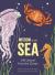 Wisdom of the Sea : Life Lessons from the Ocean