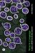 Virus Is a Language : AI, QAnon, COVID-19 and the New Abnormal