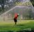 Bad Lies : A Field Guide to Lost Balls, Missing Links, and Other Golf Mishaps