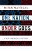 One Nation, under Gods : A New American History