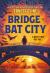 Bridge to Bat City Bridge to Bat City