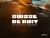Suisse de Nuit : Sunlight Not Required