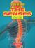 The Senses : An Owner's Guide