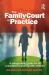 The Family Court in Practice : A Safeguarding Guide for All Practitioners Working with Children