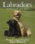 Labradors : Work, Rest and Play