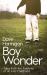 Boy Wonder : Tales from the Sidelines of an Irish Childhood