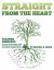 Straight from the Heart Binder : Teacher Resource: Student Stories with Writing Prompts