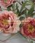 Porcelain Garden : Vladimir Kanevsky at the Frick Collection