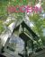 The Modern Residence : Inspired Modern Homes Imagined and Designed by the Nation's Leading Architects