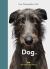 New Photography of the Dog