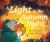 A Light in the Autumn Night A Light in the Autumn Night