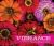 Vibrance Deluxe Notecards
