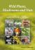 Wild Plants, Mushrooms and Nuts : Functional Food Properties and Applications