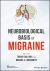 Neurobiological Basis of Migraine