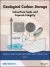 Geological Carbon Storage : Subsurface Seals and Caprock Integrity