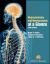 Neuroanatomy and Neuroscience at a Glance Neuroanatomy and Neuroscience at a Glance