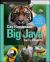 Big Java: Early Objects, 7e Abridged Print Companion with Wiley e-Text Reg Card Set