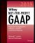 Wiley Not-For-Profit GAAP 2019 : Interpretation and Application of Generally Accepted Accounting Principles