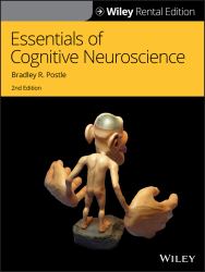 Tuck and Tina and the Lost Fortune